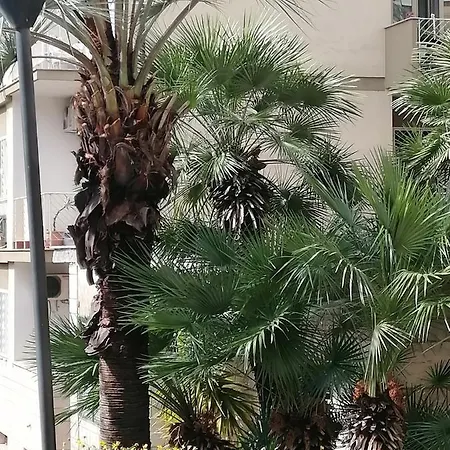 Domus Coralla Racconti Di Viaggio