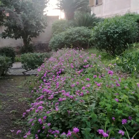 Bed & Breakfast Domus Coralla Racconti Di Viaggio